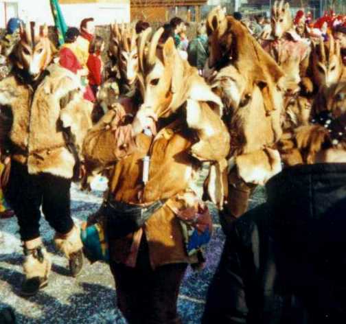 Gämsen (oder Gemsen, je nach dem)