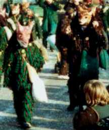 unbestritten: Füchse